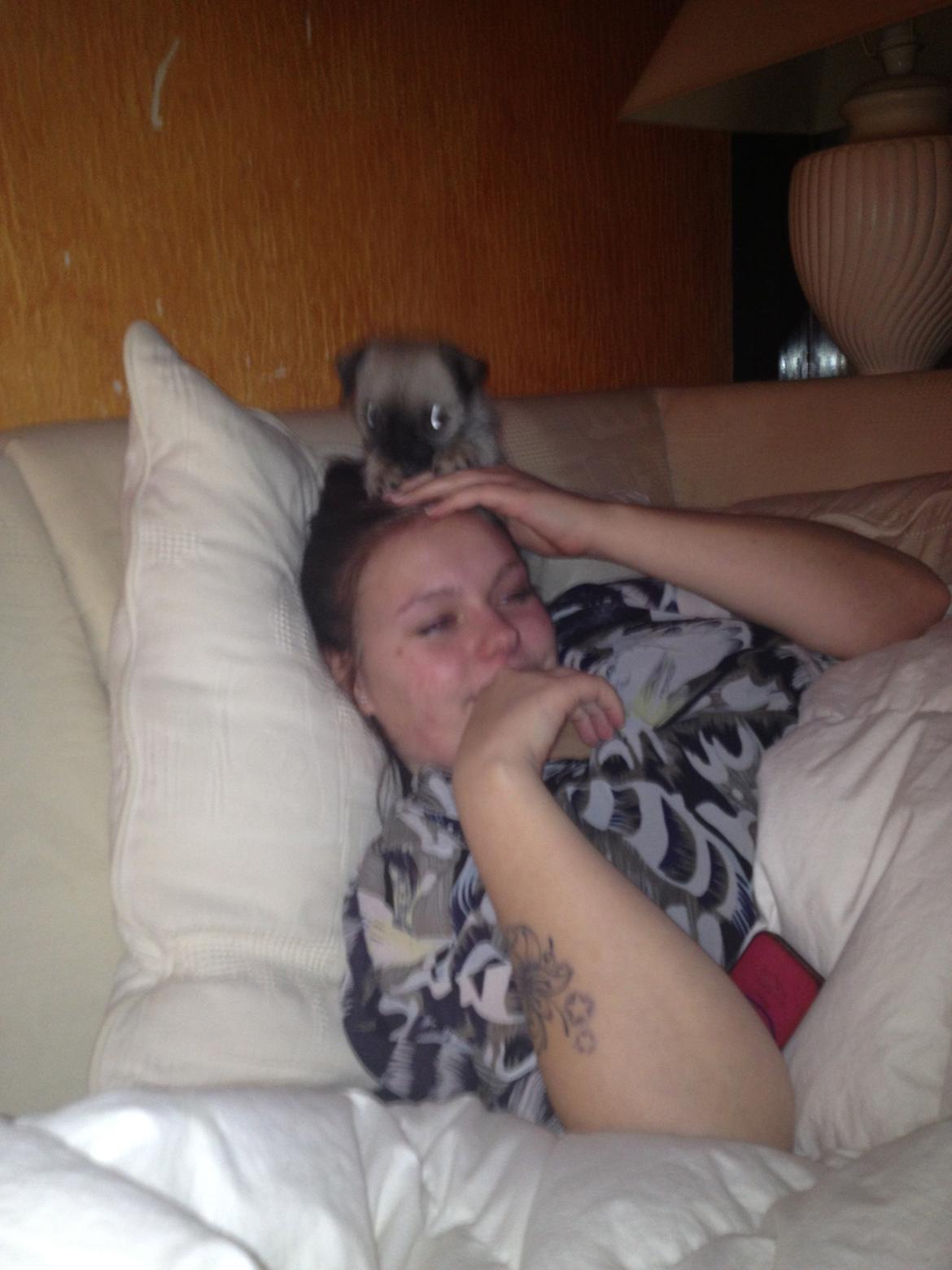 Blanding af racer Bella - Fenris slår til igen. :D billede 20