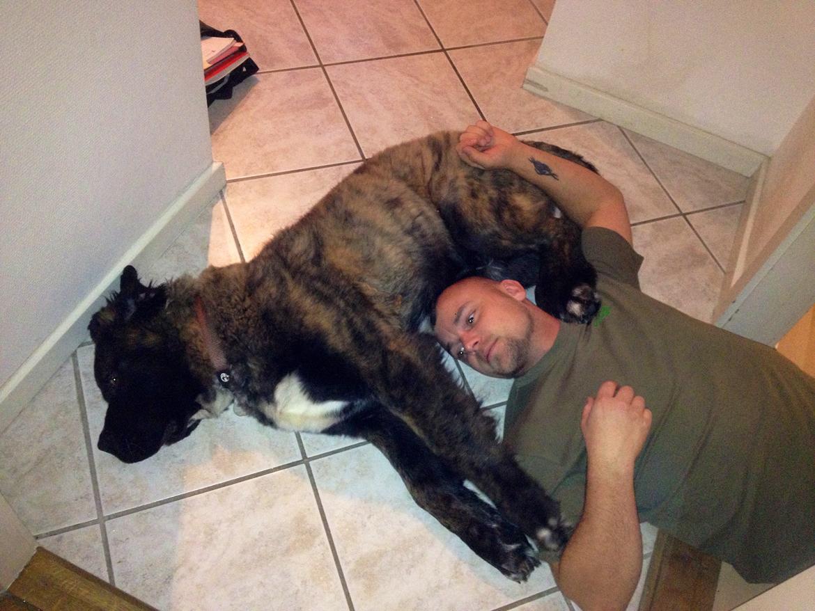 Blanding af racer Frede billede 9