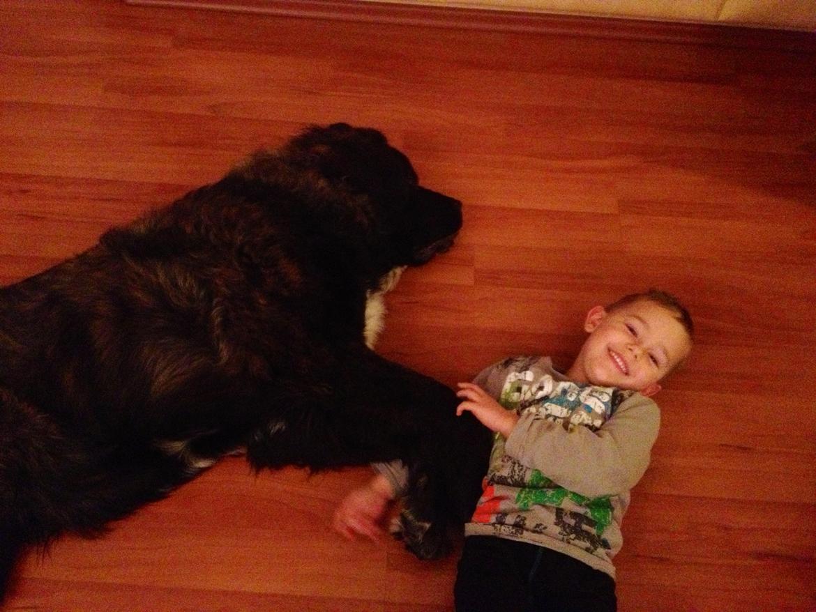 Blanding af racer Frede billede 12