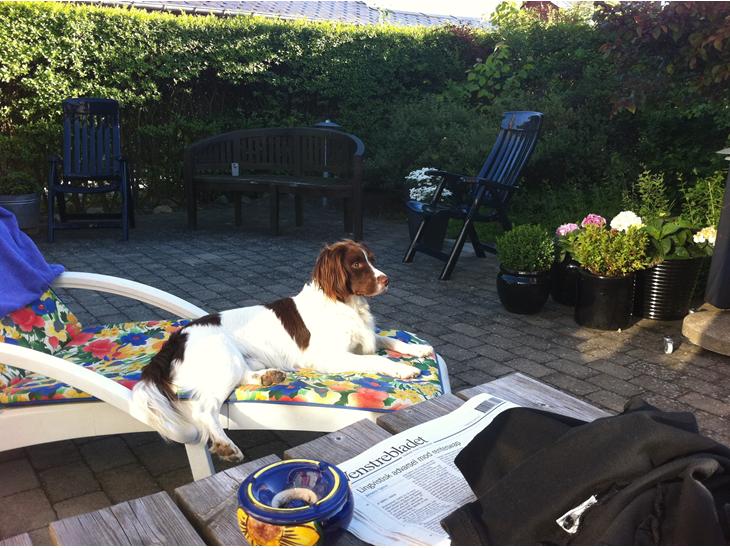 {{currentPhoto.altText}} billede {{currentPhoto.number}}