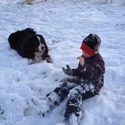 Berner sennenhund Diego