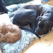 Blanding af racer Bertha Bum Andersen