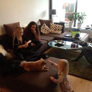 Pomeranian Maize Pomfritz Mark