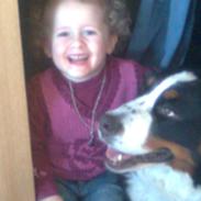 Berner sennenhund Vita