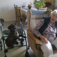 Blanding af racer Laika