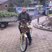 Blanding af racer Laika