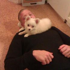 Blanding af racer Ulla