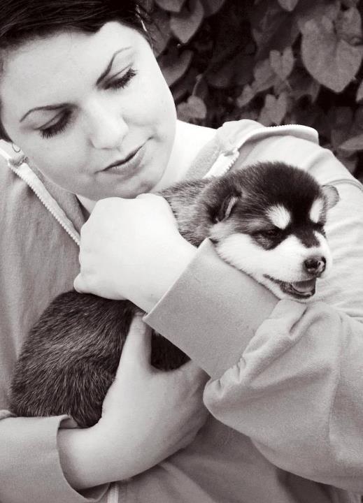 Blanding af racer Loke billede 19