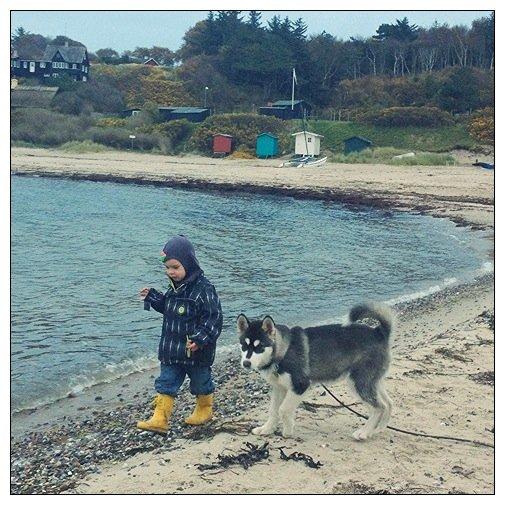 Blanding af racer Loke billede 15