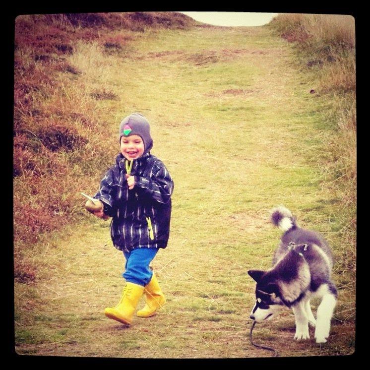 Blanding af racer Loke billede 16