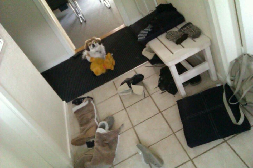 Pekingeser Mollie - Min familie blev simpelthen så  glad da de kom hjem og så, hvor flot jeg havde rodet i huset :P billede 16