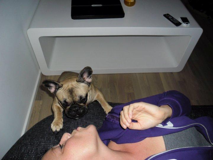 Fransk bulldog Nanna - Når man spørg efter et mys, ja så kommer jeg som regel og gir et ;) billede 12