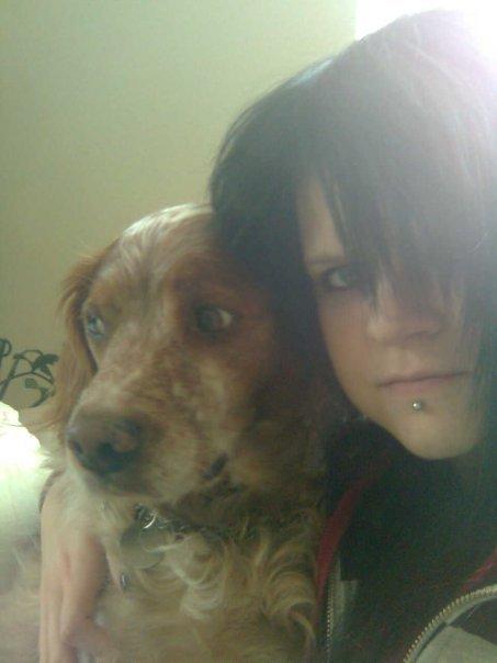 Breton Chiko billede 9