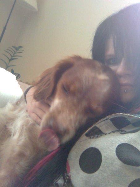 Breton Chiko billede 10