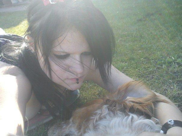 Breton Chiko billede 13