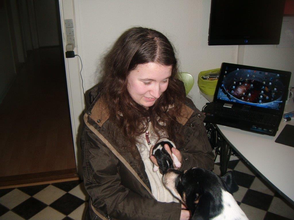 Dansk svensk gaardhund Vaks - Mit første møde med Vaks billede 1