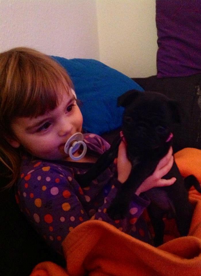 Mops Alberte billede 5