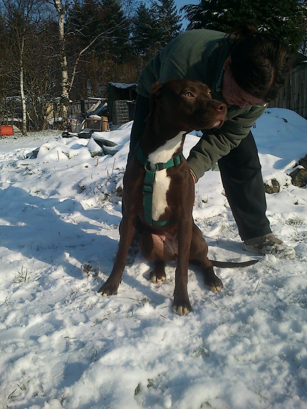 Blanding af racer diva billede 5