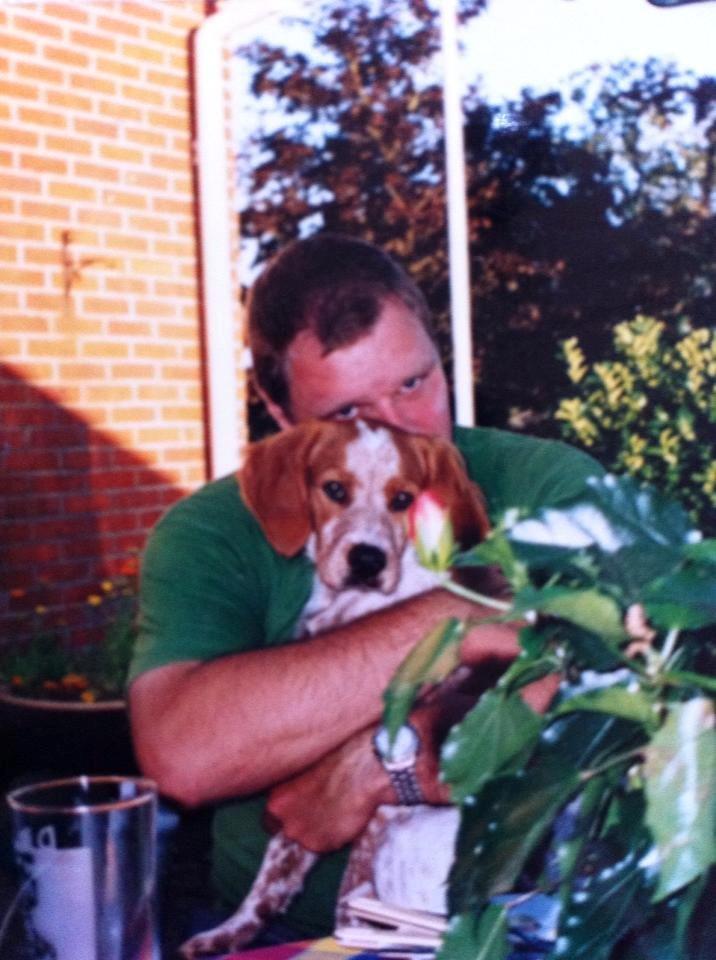 Breton Chiko billede 18