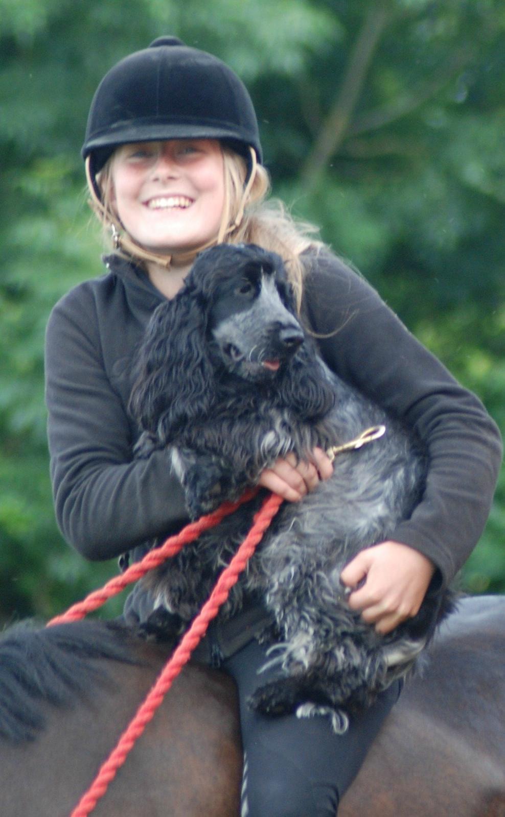 Cocker spaniel Silke - silke og jeg sidder på daisy billede 15