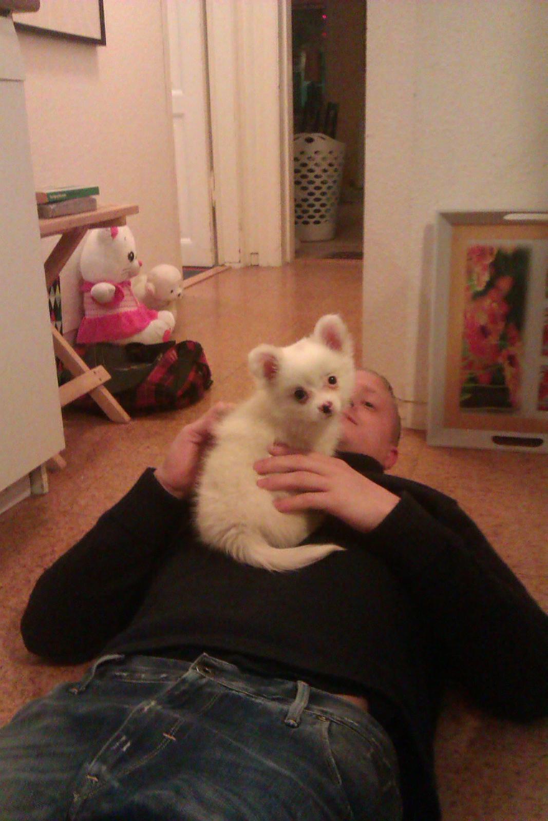 Blanding af racer Ulla billede 1