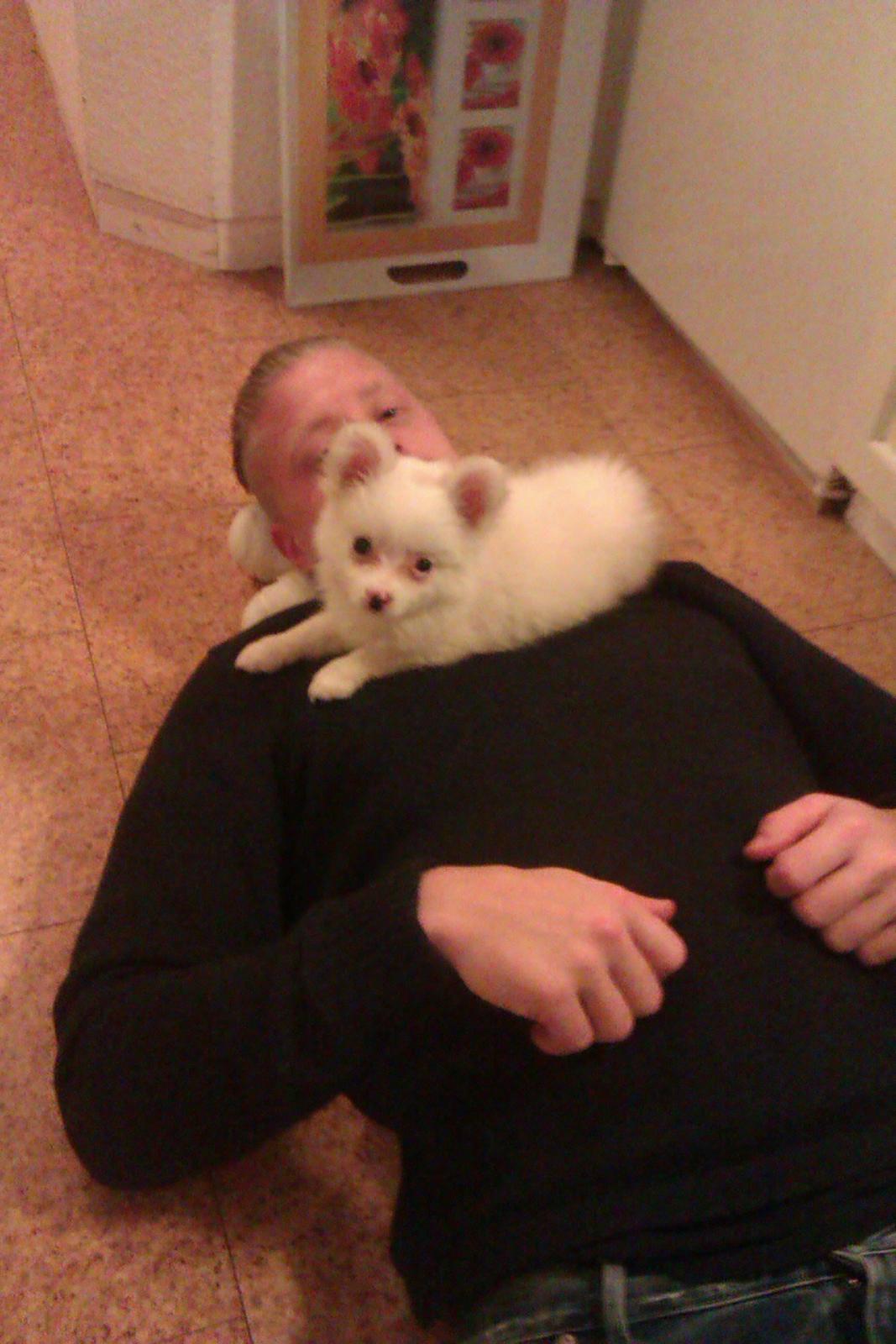 Blanding af racer Ulla billede 2