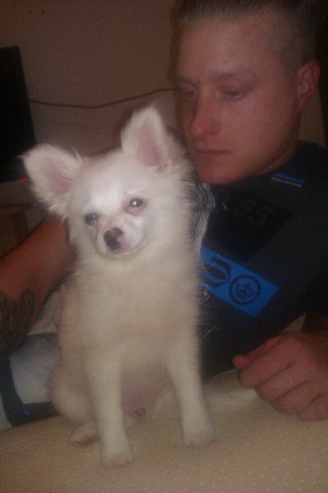 Blanding af racer Ulla billede 7