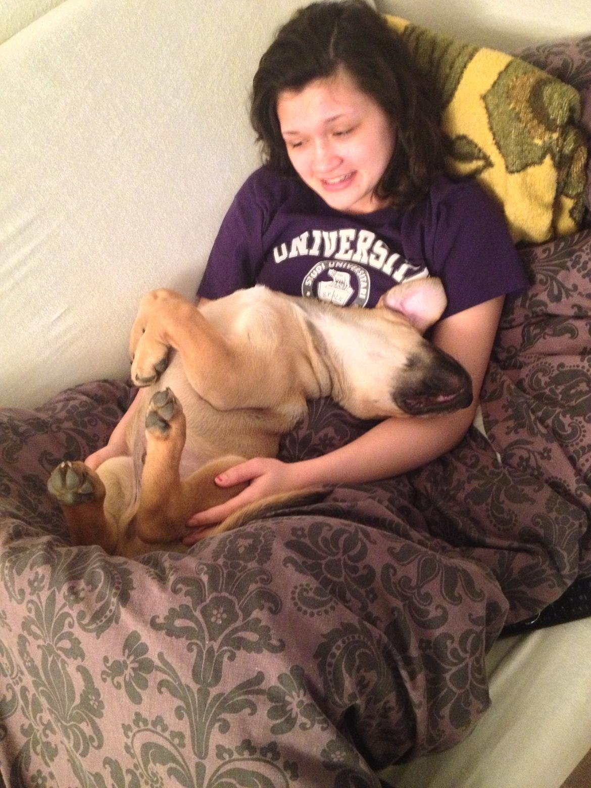 Blanding af racer Dogo Canario/Rottweiler - Elvis - Han sover altid på de mærkeligste måder billede 8