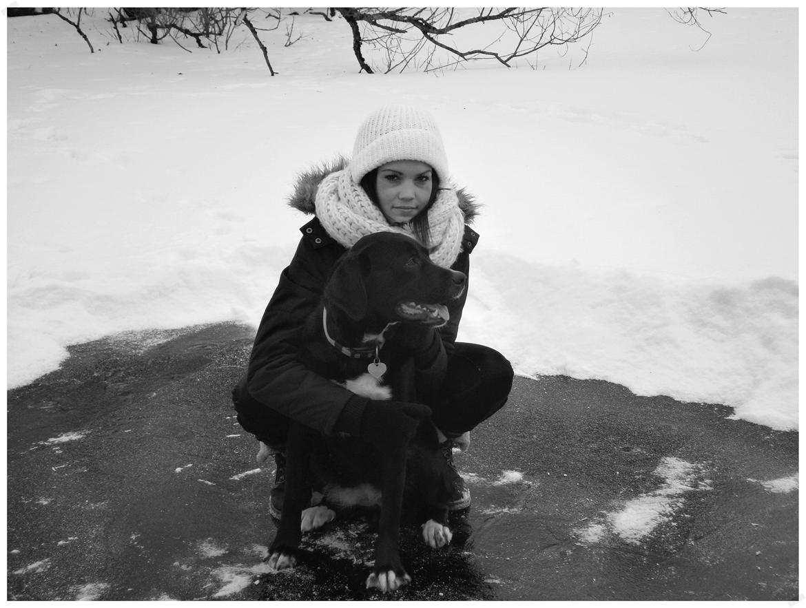 Blanding af racer Yazmin - Nede og gå på isen! :-) billede 14