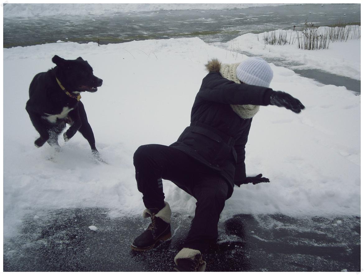 Blanding af racer Yazmin - Haha, tosset billede..  billede 15