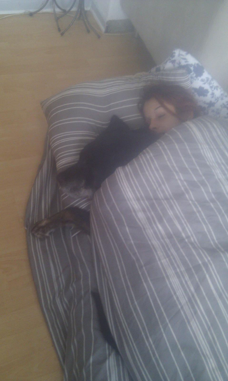 Blanding af racer Buller R.I.P billede 10