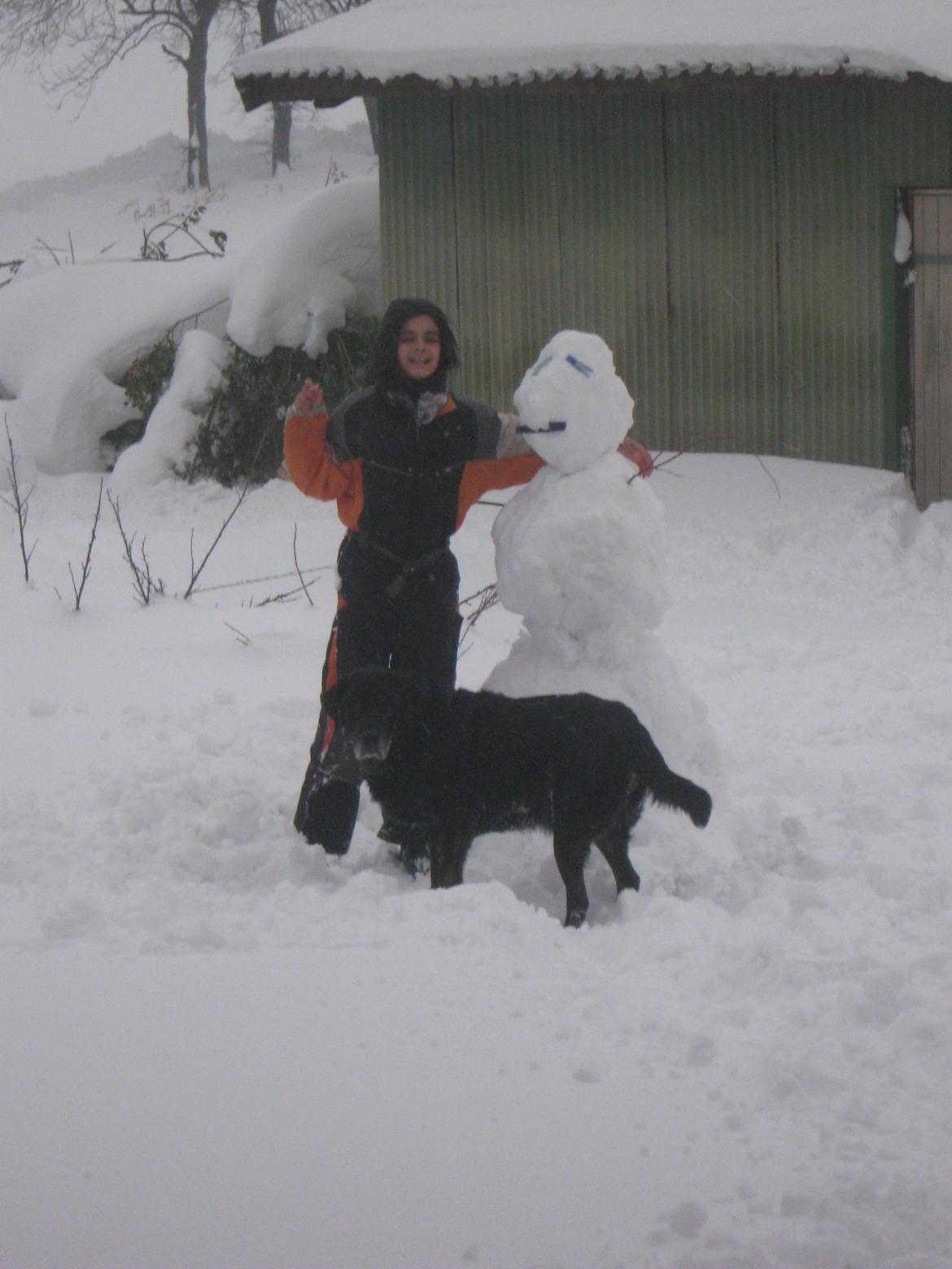 Blanding af racer Buller R.I.P billede 12