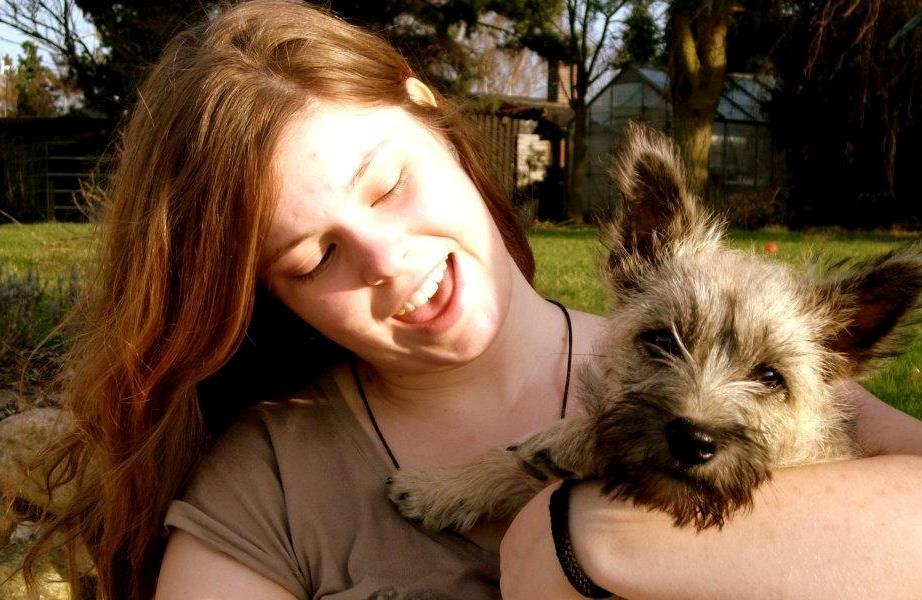 Cairn terrier Frida - Taget i sommers billede 12