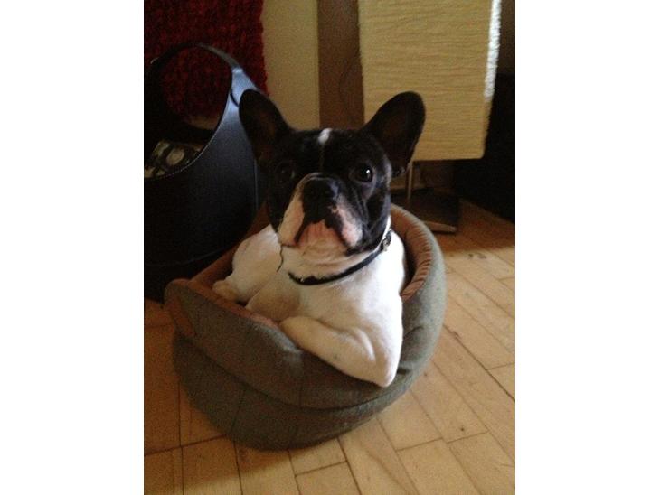 {{currentPhoto.altText}} billede {{currentPhoto.number}}