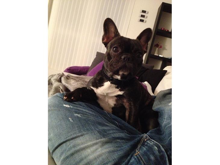 {{currentPhoto.altText}} billede {{currentPhoto.number}}