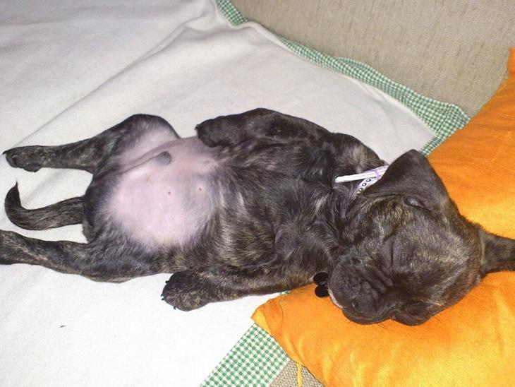 {{currentPhoto.altText}} billede {{currentPhoto.number}}