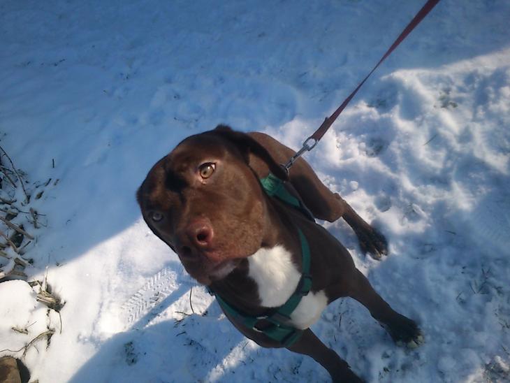 {{currentPhoto.altText}} billede {{currentPhoto.number}}