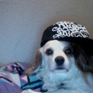 Blanding af racer Niki