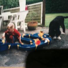 Berner sennenhund Mille † R.I.P †