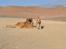 Blanding af racer Nala - Sammen med sin bedste hundeven i Chile, Duke