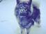 Eurasier Eurasierkrogens Artos (Niiko)