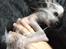 Chinese crested hårløs Cronhammar's Imperial China