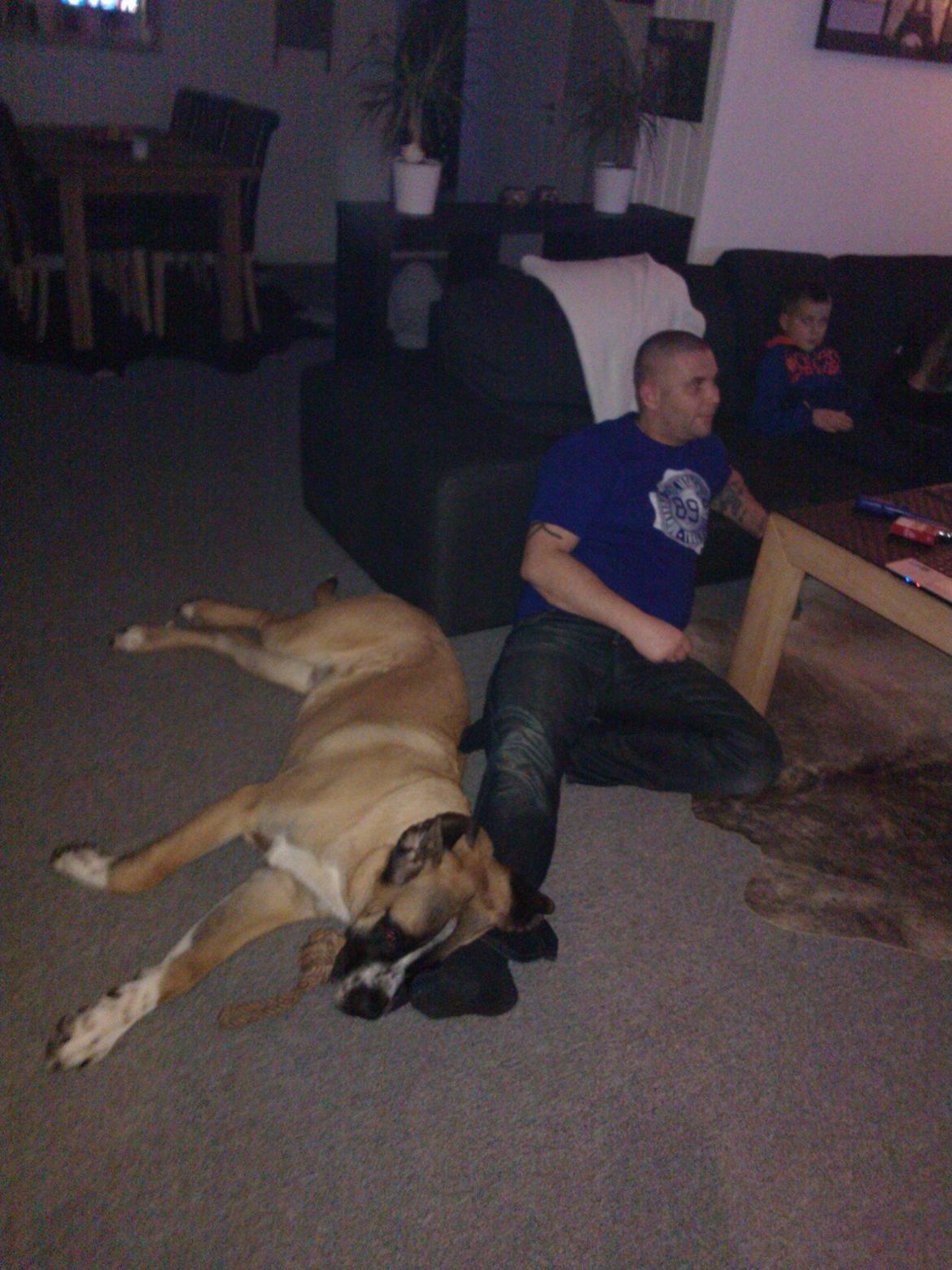 Blanding af racer Leon billede 18