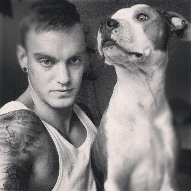 Amerikansk staffordshire terrier Balto billede 20