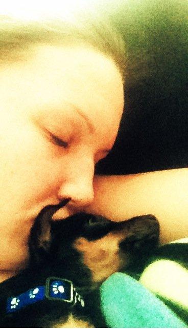 Prazsky krysarik Mickey billede 3