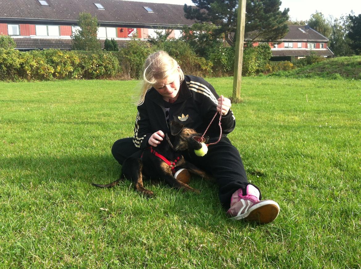 Blanding af racer Jennifer  billede 4