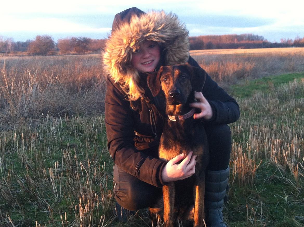 Blanding af racer Jennifer  billede 9