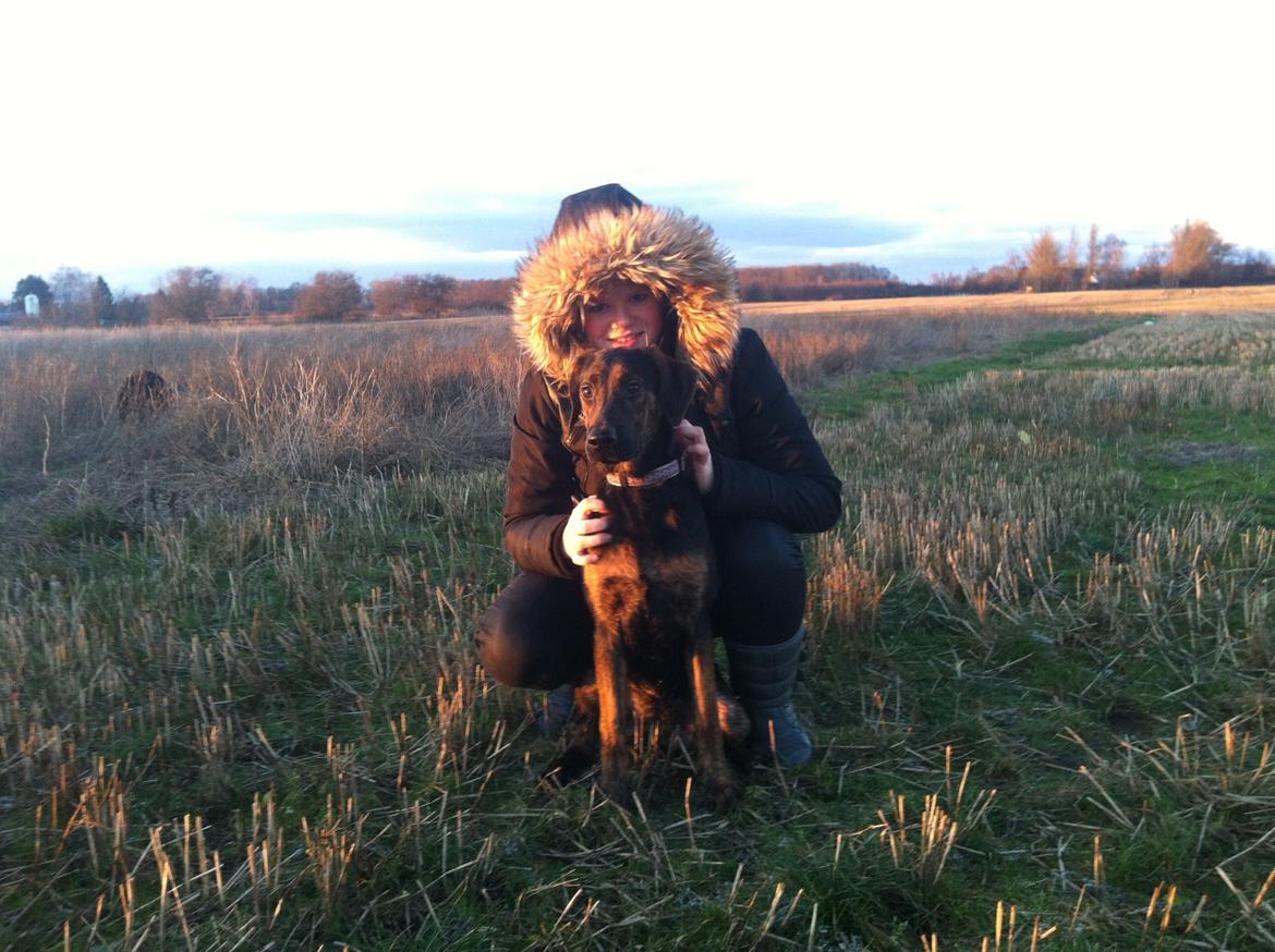 Blanding af racer Jennifer  billede 10