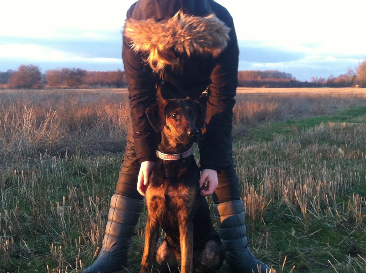 Blanding af racer Jennifer  billede 11