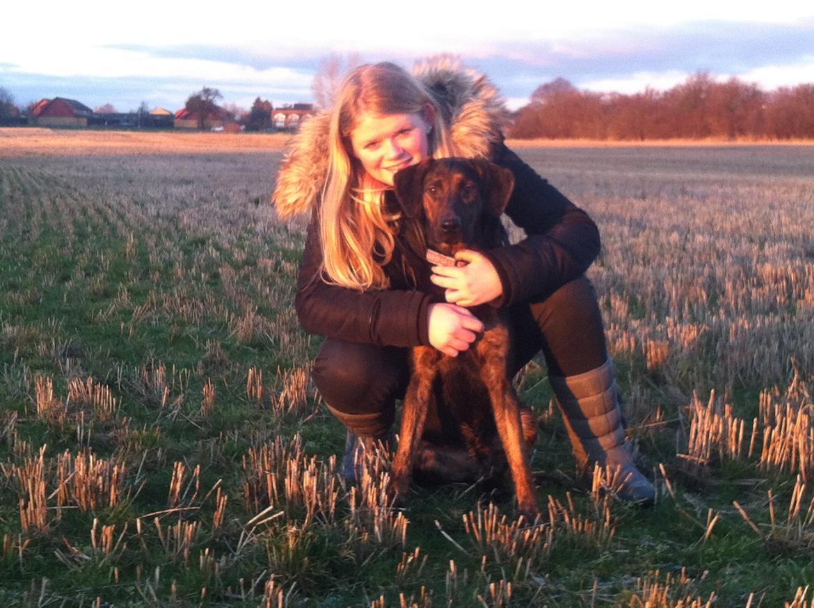 Blanding af racer Jennifer  billede 12